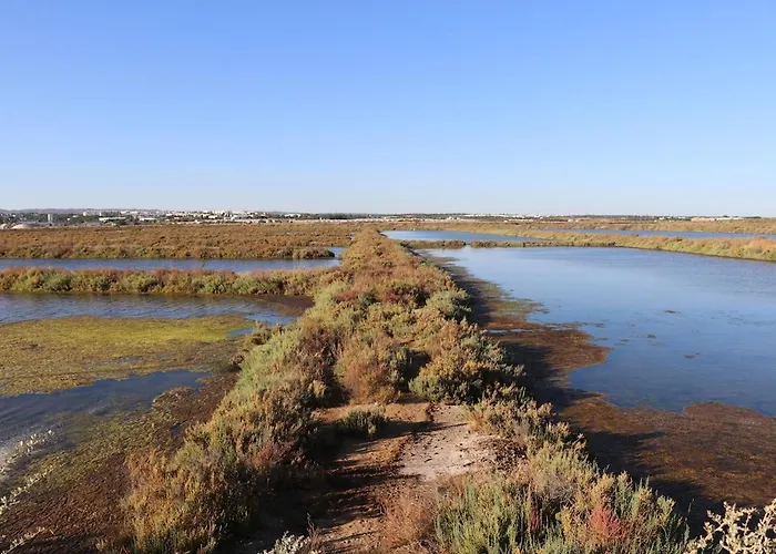 Pedras D'el Rei - 1 4 People Holiday home Santa Luzia (Tavira)